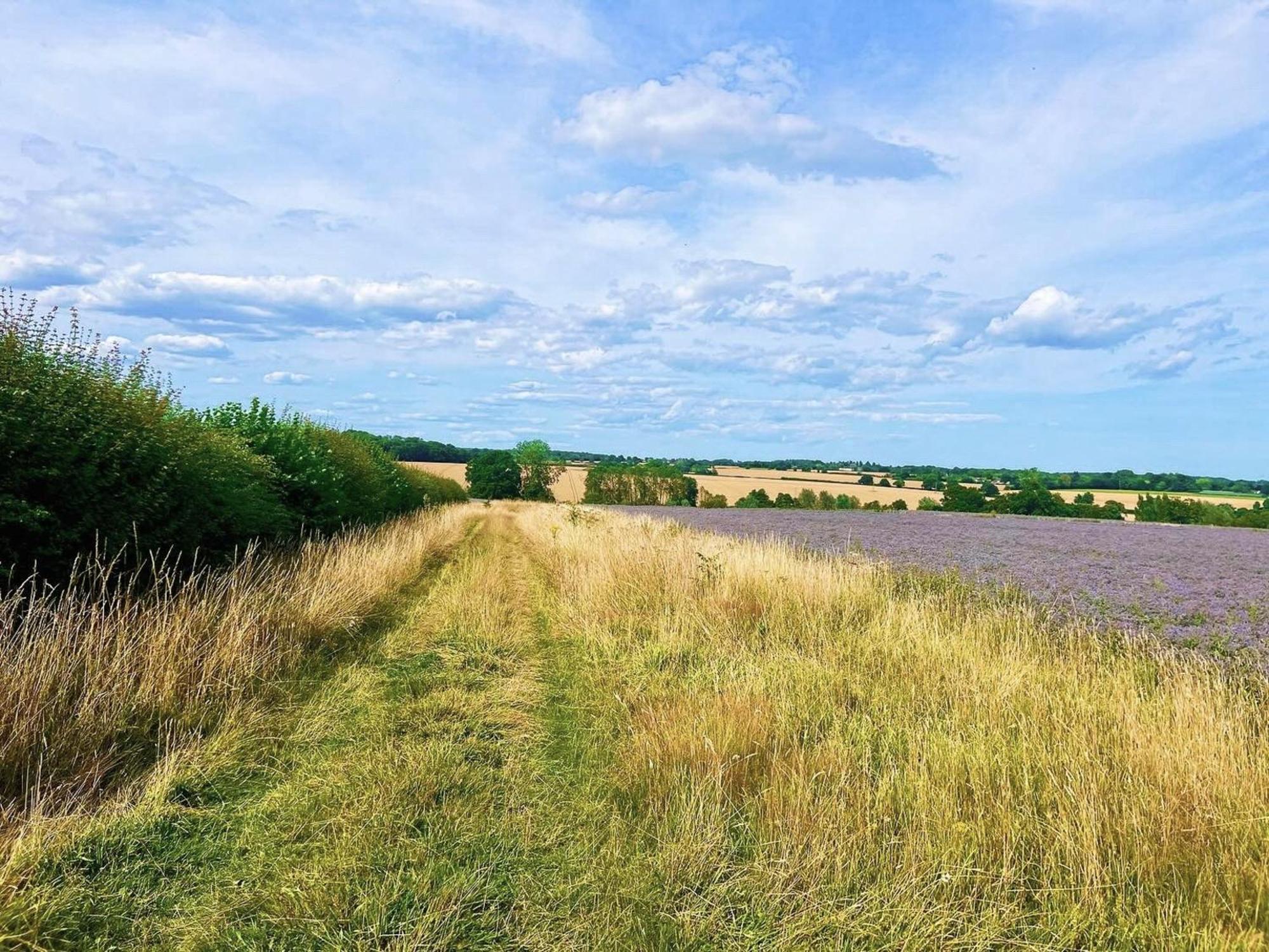 Kersey River Houseヴィラ エクステリア 写真